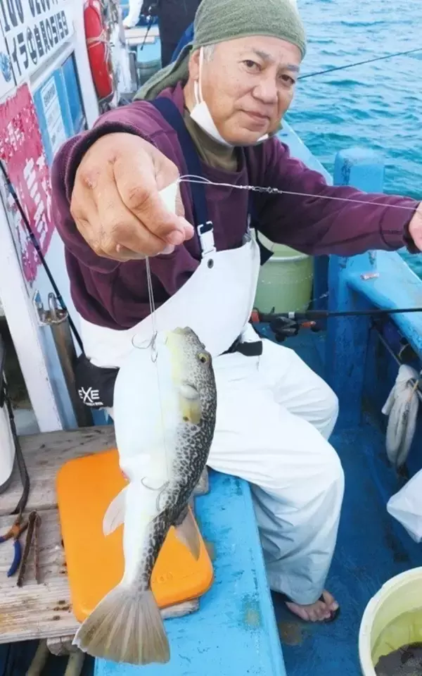 「最大40cm超！鹿島沖のデカフグ」の画像