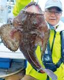 「最大40cm超！鹿島沖のデカフグ」の画像6