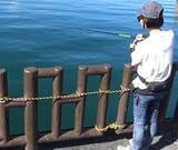 「【3分で分かるサビキ釣り】仕掛けや釣り方を詳しくチェック！」の画像1