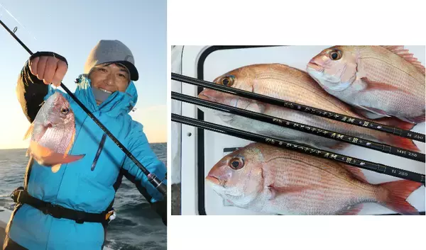 「『がま船 ひとつテンヤ真鯛Ⅲ』による冬～春のマダイゲームー当日の最適解を探るパターンフィッシングー」の画像