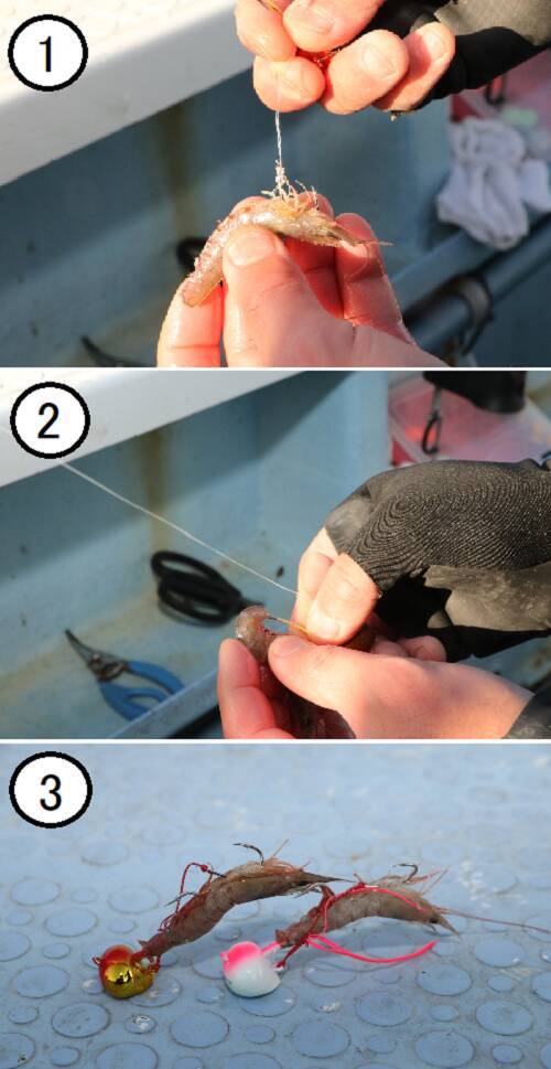 『がま船 ひとつテンヤ真鯛Ⅲ』による冬～春のマダイゲームー当日の最適解を探るパターンフィッシングー