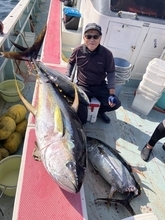 【釣果速報】神奈川県正海丸で60kgと40kgのキハダ上がる！マグロもアタリ祭り！ノッてる今、大物ゲットの夢を掴め！
