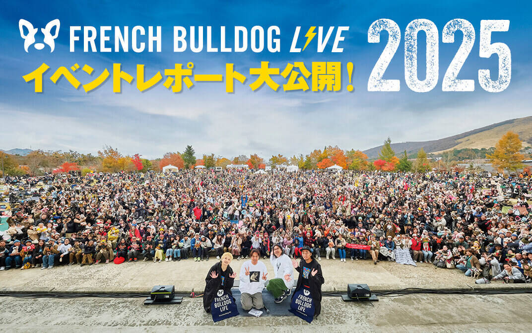 【日程発表！】フレブルLIVE2026、今年も2days開催決定！【10/24(土)-25(日)】