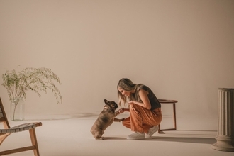 【犬オーナー必見！】“もしもの衝撃”から大切な愛犬をしっかりサポート。TAVOの多機能ペットギア「Maeve™」を推したい理由