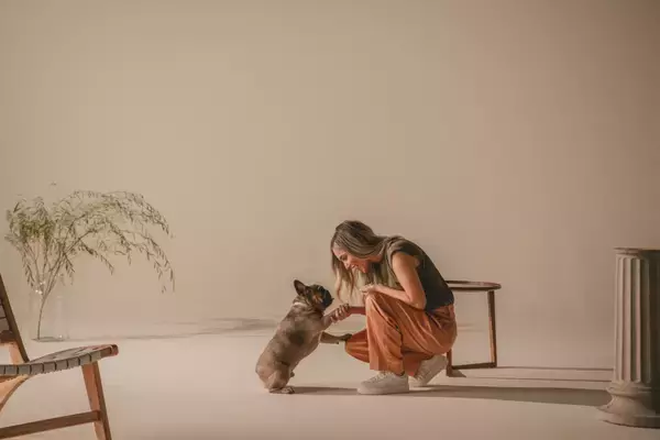 【犬オーナー必見！】“もしもの衝撃”から大切な愛犬をしっかりサポート。TAVOの多機能ペットギア「Maeve™」を推したい理由