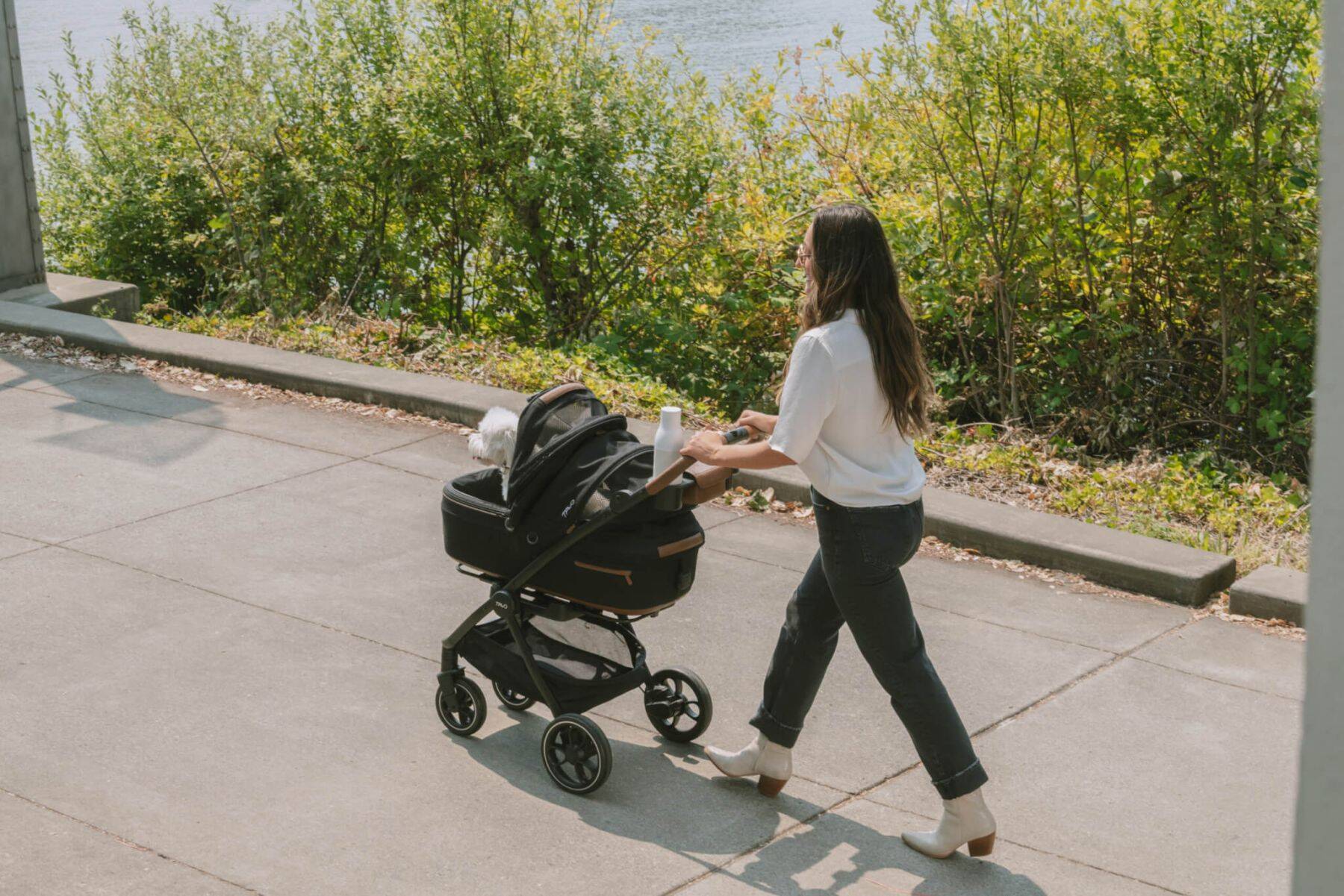 【犬オーナー必見！】“もしもの衝撃”から大切な愛犬をしっかりサポート。TAVOの多機能ペットギア「Maeve™」を推したい理由