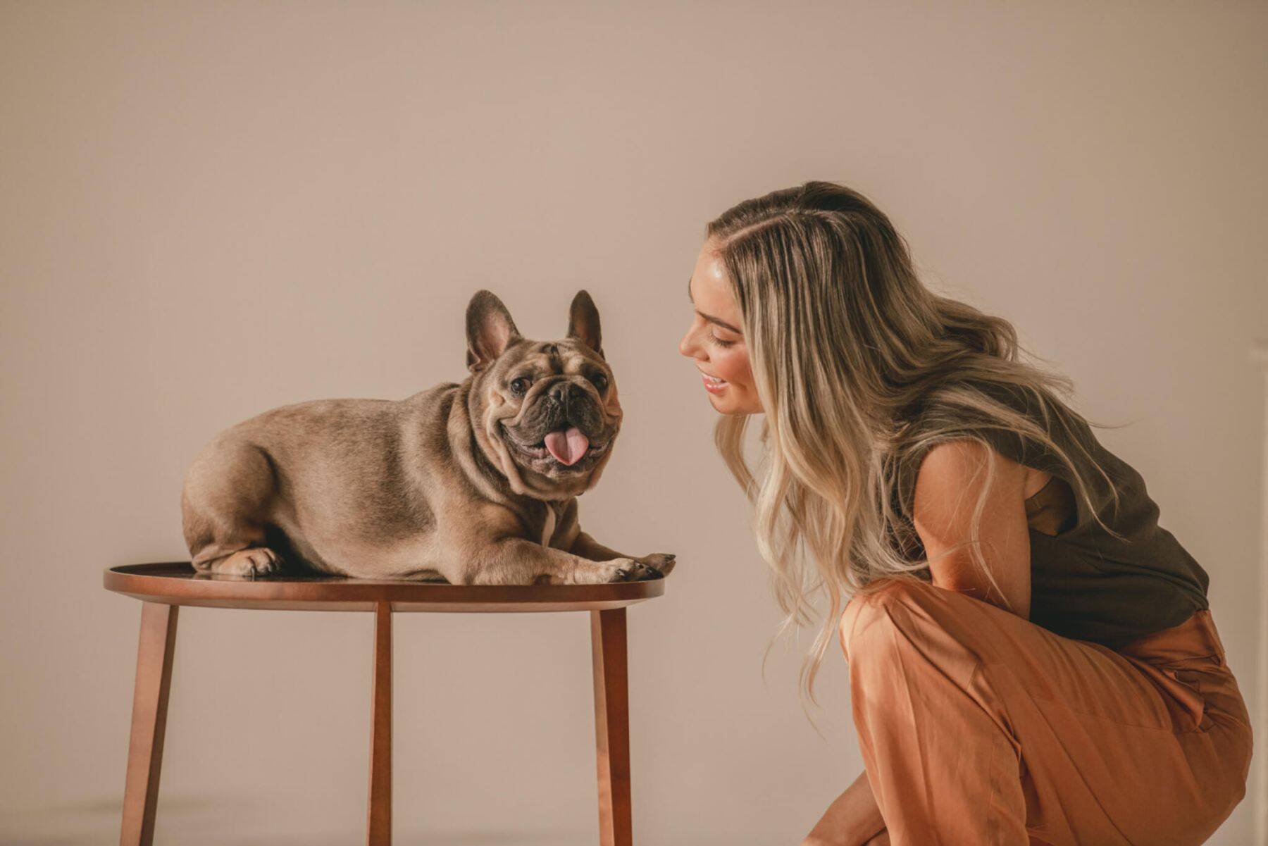 【犬オーナー必見！】“もしもの衝撃”から大切な愛犬をしっかりサポート。TAVOの多機能ペットギア「Maeve™」を推したい理由