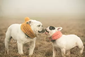 106歳のお婆ちゃんが 不健康すぎる 長生きの秘訣を暴露 1日3本ドクターペッパー 飲むなと忠告した医者は皆死んだ 17年9月10日 エキサイトニュース 106歳のお婆ちゃんが 不健康すぎる 長生きの秘訣を暴露 1日3本ドクターペッパー 飲むなと忠告した医者は皆死んだ 17年9月10日 エキサイトニュース
