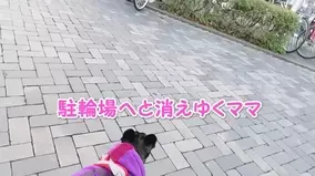 全力疾走ハムスター 回し車で華麗に障害ハムを避けるの巻 2019年12月7日 エキサイトニュース