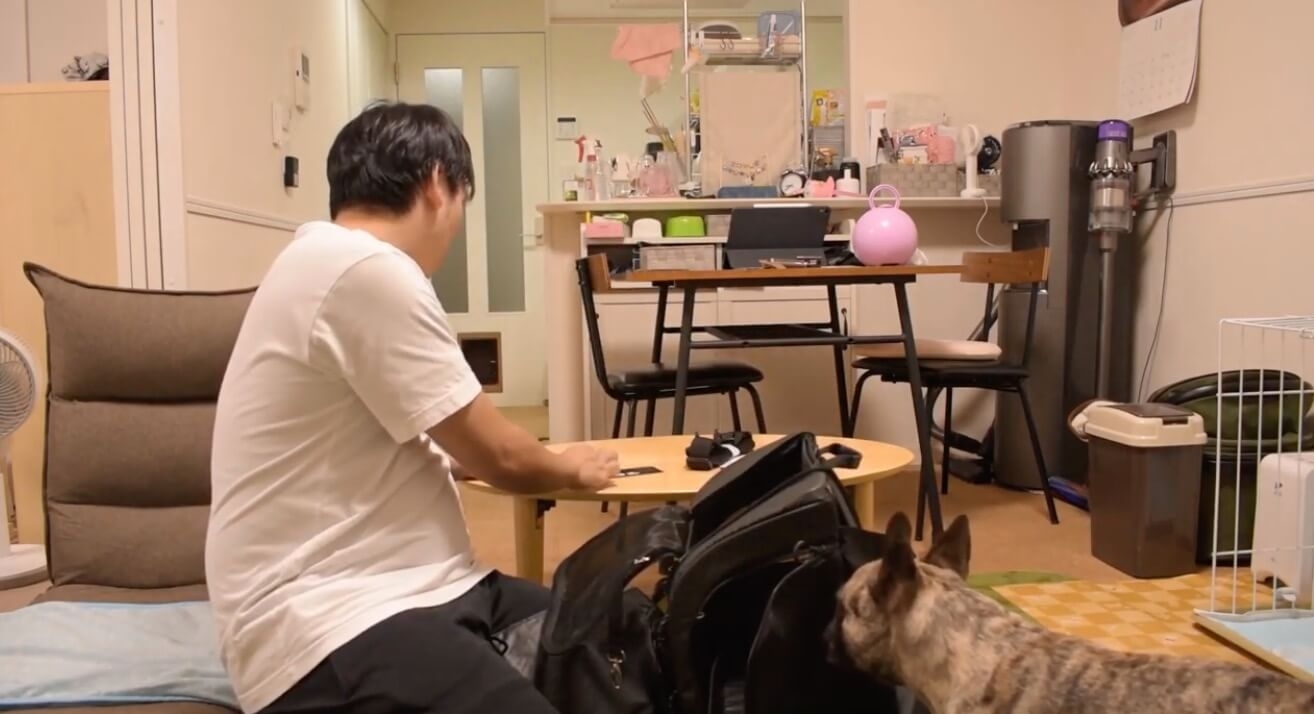 犬用リュックに初めて入ったフレブル