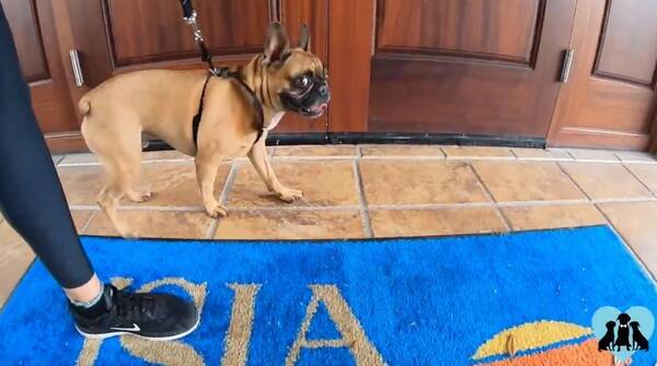 大成功 大好きなママの結婚式 主役のひとり としてやり遂げたフレブルからも 喜びがダダ漏れてたよ 動画 19年12月21日 エキサイトニュース