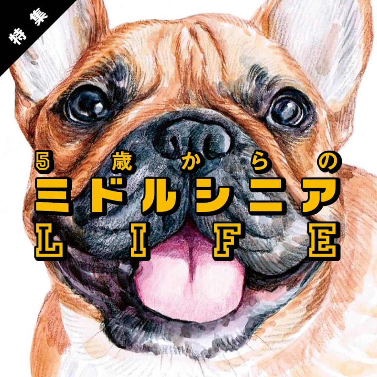 フレブルだって歯が命 ミドルシニア期に見直すべきマウスケア 特集 ミドルシニアlife 年1月13日 エキサイトニュース