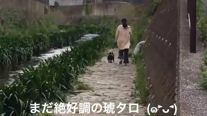 ｳﾙ 飼い主との別れが悲しくて目に涙を溜めるフレブル 可哀想で胸が痛いよ 動画 22年8月2日 エキサイトニュース