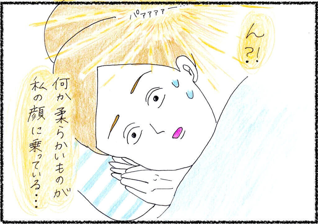 【フレブル漫画】ペコ日記〜ブヒのいる幸せ〜＃32 もふもふの正しい使い方!?　作・Cランチ