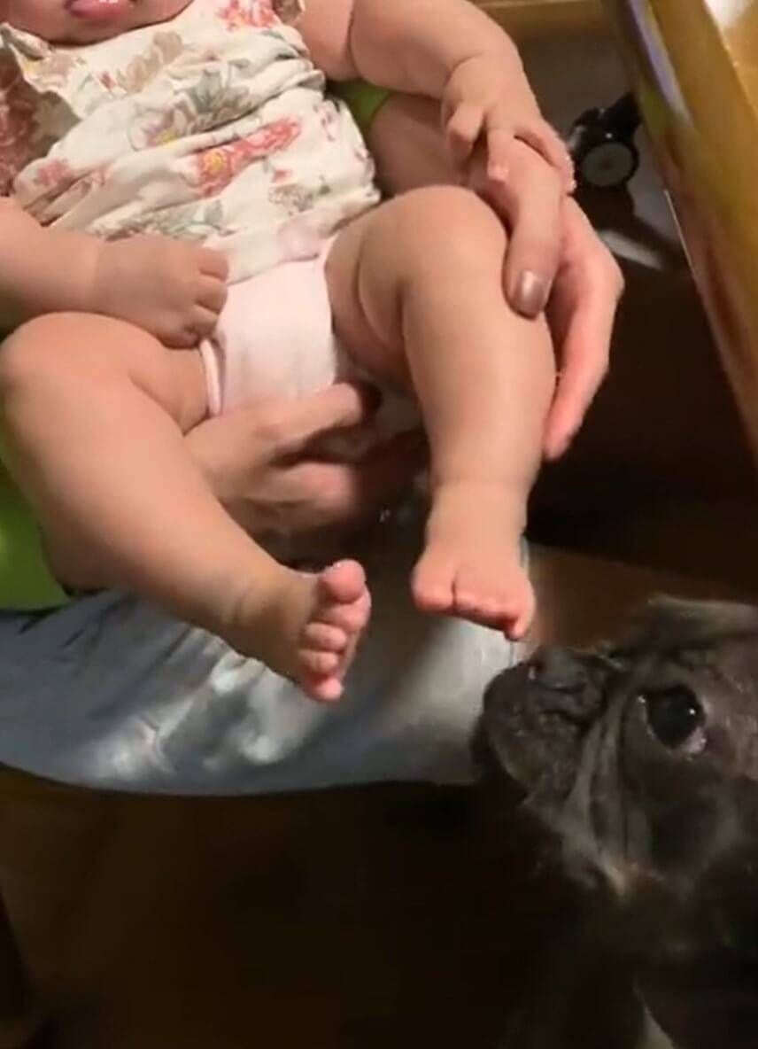 もう尊すぎ フレブルが赤ちゃんと添い寝をしてた 奇跡のような仲良し光景に目尻が下がるよ 21年12月12日 エキサイトニュース もう尊すぎ フレブルが赤ちゃんと添い寝をしてた 奇跡のような仲良し光景に目尻が下がるよ 21年12月12日 エキサイトニュース