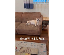 「そこ代わって」連休明けの飼い主を見送る気がないダラダラフレブルさん【動画】