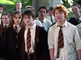 あっ 麻痺した ハリー ポッターの呪文に合わせてを次々とポーズを決める天才ダックスフント アメリカ 19年2月5日 エキサイトニュース