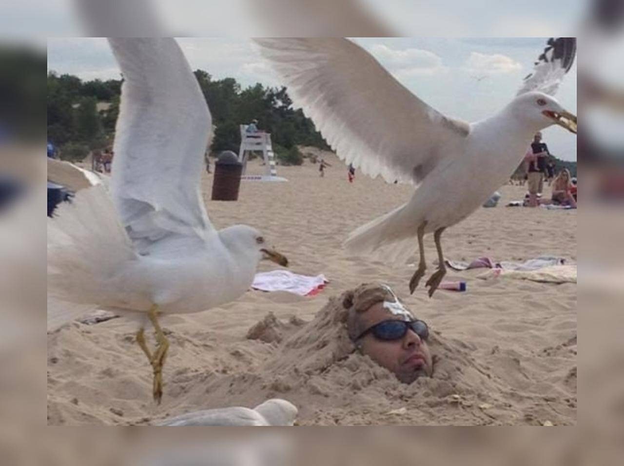 砂浜にすっぽり埋まった男性の身に起こった 悲劇 にジワる 18年2月9日 エキサイトニュース