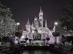 ディズニーランドのパレードでまさかの アクシデント が起こる 18年5月15日 エキサイトニュース