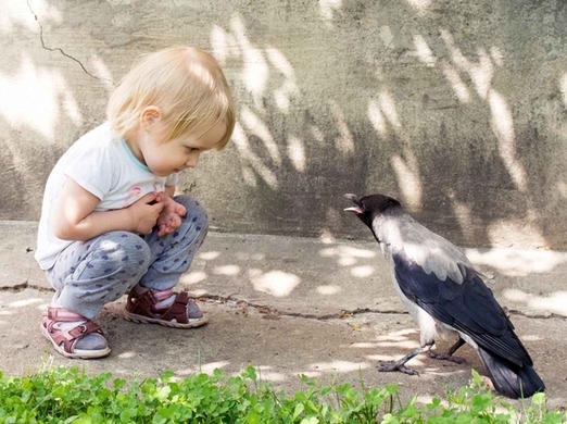 いつかアイツと分かり合いたい カラスと仲良くなるための5つのステップ 17年6月15日 エキサイトニュース