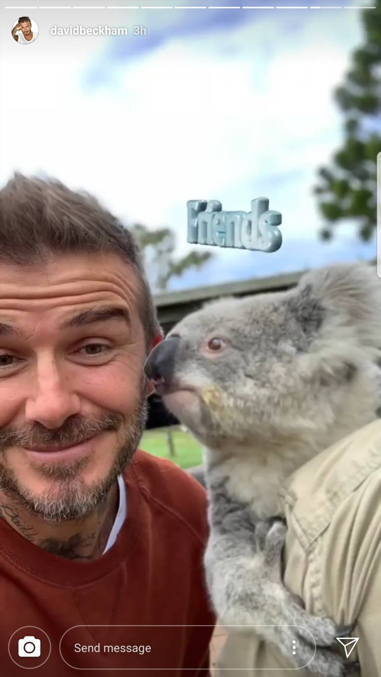 デビッド ベッカム イケメン 動物は無敵ということを証明 18年11月3日 エキサイトニュース