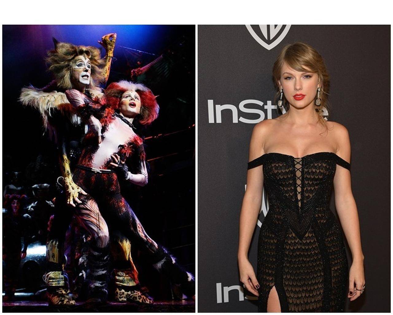 テイラー スウィフトの演技はいかに キャッツ 共演者の人気俳優が語る 19年3月6日 エキサイトニュース