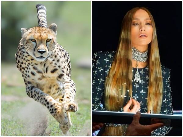 髪がアニマル柄 ジェニファー ロペス 最先端のヘアカラーがかっこ良すぎる 19年4月12日 エキサイトニュース