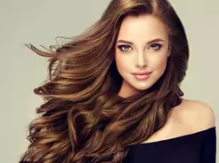 Dhcのシャンプーは全14種類 髪の悩みにぴったりの商品が絶対見つかる 19年11月11日 エキサイトニュース 2 5