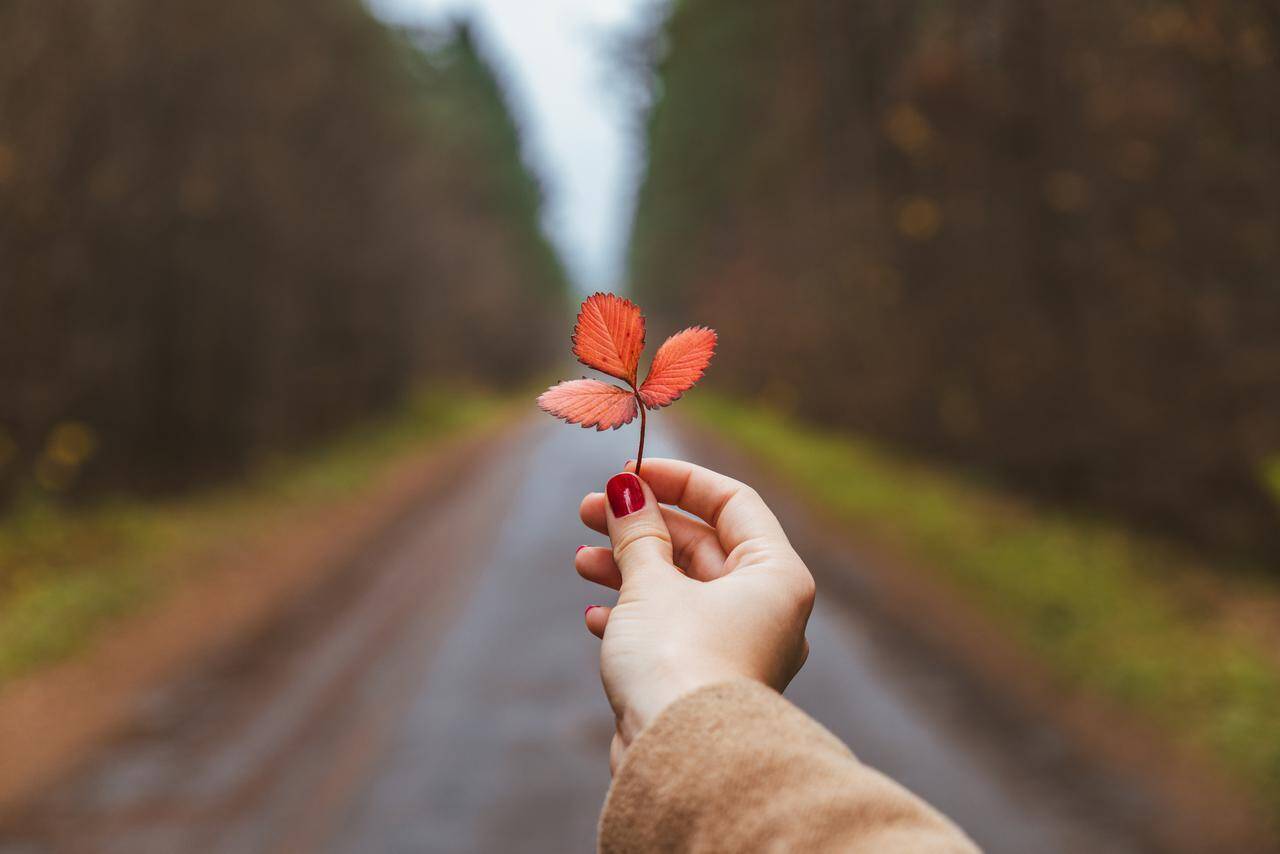色素沈着したマニキュアを 家庭にあるもの で簡単に落とす方法 19年12月6日 エキサイトニュース