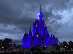 ディズニーランド あるもの が盗まれ続けることに悩んだ末の 解決策 が賢い 年2月1日 エキサイトニュース