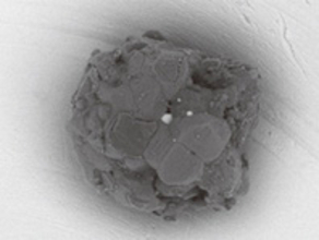 アリゾナ州立大学　小惑星イトカワの粒子から水の痕跡を発見