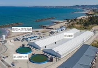 日本水産・弓ヶ浜水産・日立造船　地下水を活用したマサバの陸上養殖実証試験をスタート