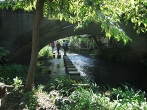 静岡・三島の源兵衛川が世界水遺産に登録。