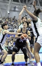 どうした福井ブローウィンズ、　精彩を欠いた年内最終戦　バスケB2第15節、横浜エクセレンス戦