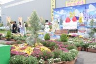 たけふ菊人形、菊と紅葉の共演見納め…11月9日が最終日　OSK日本歌劇団レビューショーも…福井県越前市