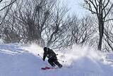 「自然の雪山、地形読み華麗に滑走　福井県大野市でフリーライドスキー・スノボ国際大会」の画像1