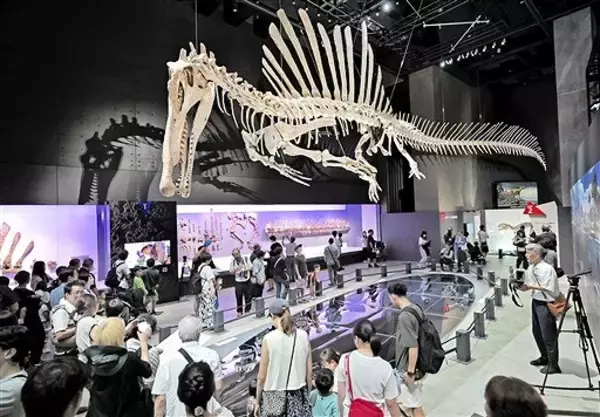 福井県立恐竜博物館、入館者数2年連続最多更新　25周年特別展が人気、関東圏からも多く　2025年度129万人