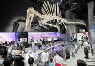 福井県立恐竜博物館、入館者数2年連続最多更新　25周年特別展が人気、関東圏からも多く　2025年度129万人