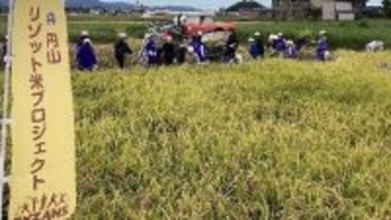 福井県産リゾット米使用した「未知の酒」、福井市円山地区で開発中　クラウドファンディング開始