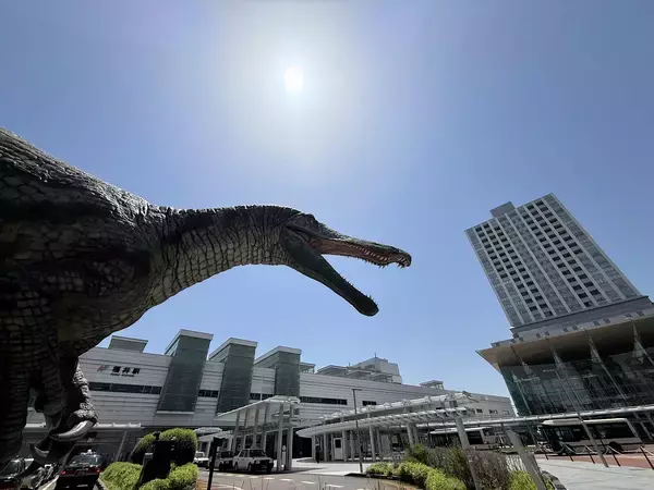 福井県内、今年初の真夏日　5月18日午前10時半現在、南越前町や美浜町で30度超