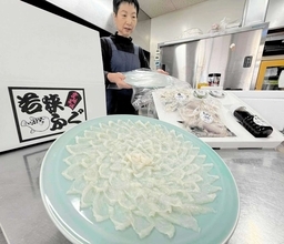てっさ、てっちりを自宅で…冬の味覚「若狭ふぐ」の宅配セットが人気　福井県小浜市の民宿で発送作業