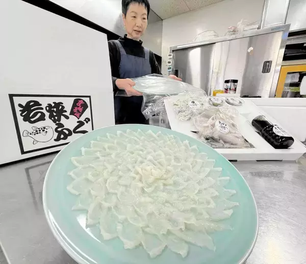 てっさ、てっちりを自宅で…冬の味覚「若狭ふぐ」の宅配セットが人気　福井県小浜市の民宿で発送作業