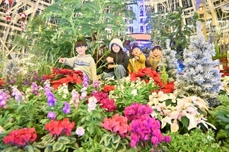花と1万5千球のイルミネーション、タマネギハウスがクリスマス仕様に　福井県総合グリーンセンター