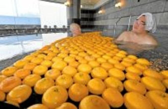 12月22日は冬至、ゆず湯でリラックス　三国温泉ゆあぽーとでサービス　福井県坂井市