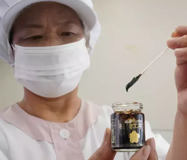 夏バテ防止や二日酔いにお薦め梅肉エキス　福井県おおい町の主婦の合同会社生産「1瓶からでも発送」
