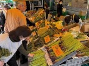 タラノメ、コゴミ…旬の山菜求め多くの客　五平餅や干物も　福井県大野市でフードピア開幕
