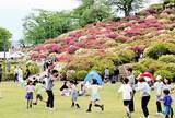 「西山公園で「さばえつつじまつり」開幕、屋台やキッチンカーも出店　5月5日まで、福井県鯖江市」の画像1