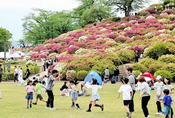 西山公園で「さばえつつじまつり」開幕、屋台やキッチンカーも出店　5月5日まで、福井県鯖江市