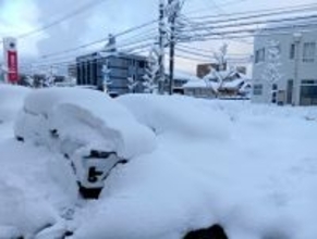 福井県敦賀市で11年ぶりに積雪60センチ超え　1月23日午前6時現在