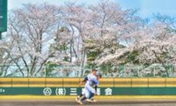 金津が大量得点、勝山にコールド勝ち　第28回坂井・奥越地区高校野球大会決勝リーグ第1試合